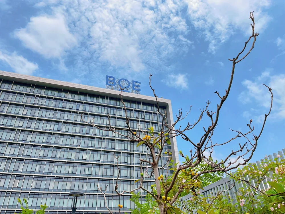 Hefei BOE Hospital - Photo 2