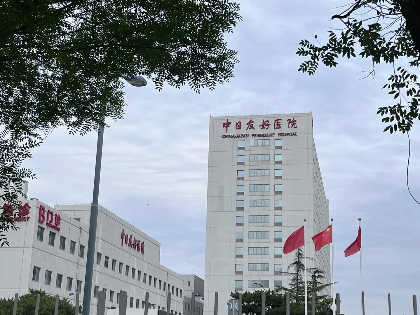 China-Japan Friendship Hospital - Photo 1