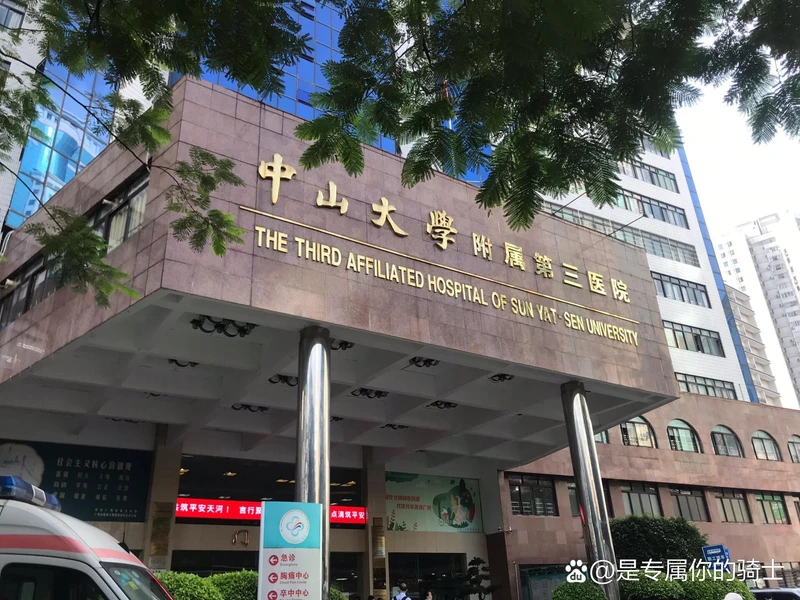 The Third Affiliated Hospital of Sun Yat-sen University - Photo 2