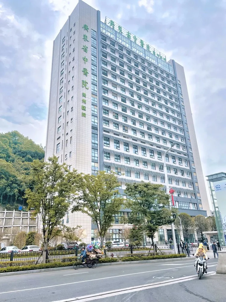 Guangdong Provincial Hospital of Traditional Chinese Medicine Guizhou Hospital - Photo 1