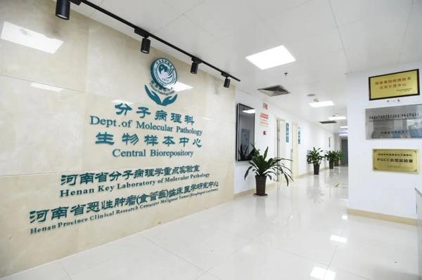 Henan Cancer Hospital - Photo 3