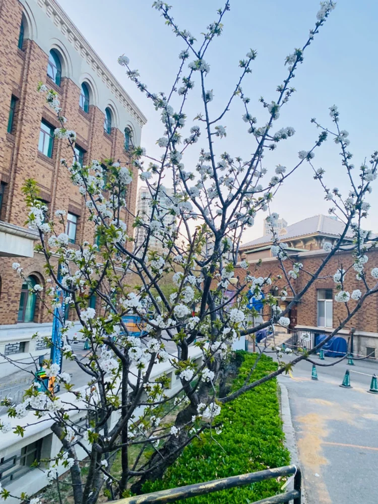大連大学附属中山医院 - Photo 3