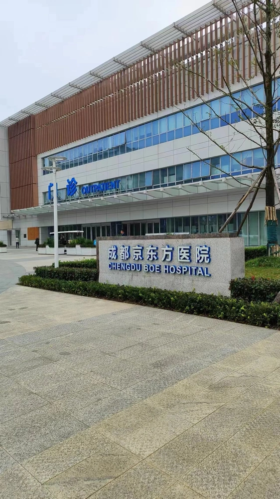 Chengdu BOE Hospital - Photo 1