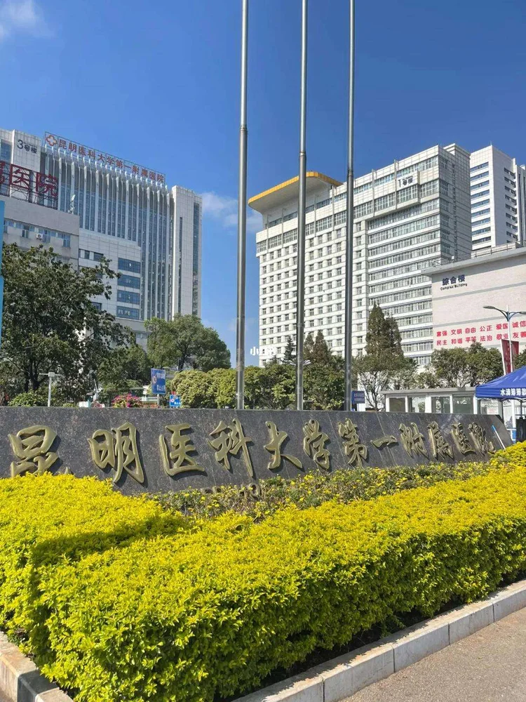 The First Affiliated Hospital of Kunming Medical University - Photo 2