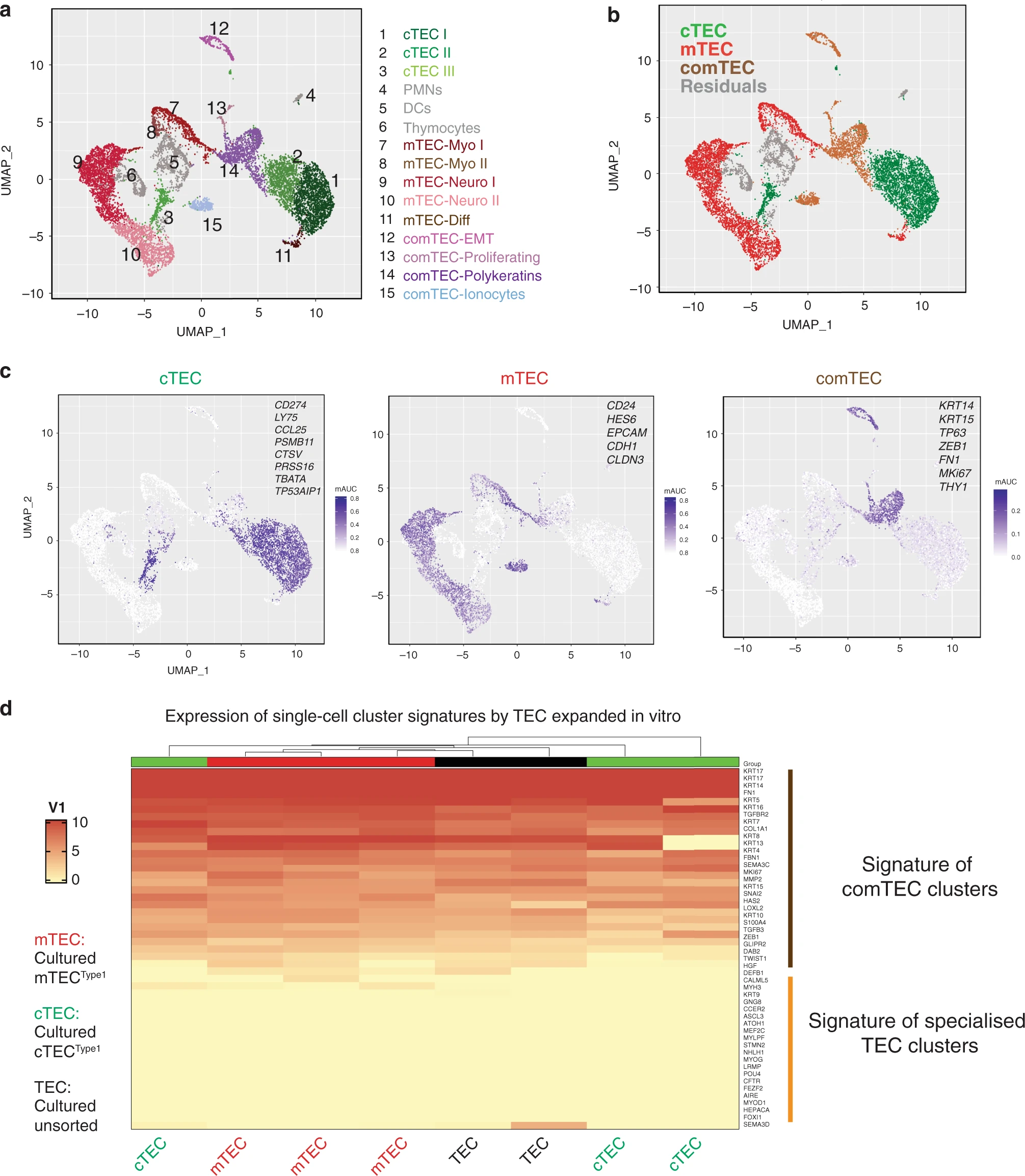 단일 세포 RNA 시퀀싱 UMAP 시각화