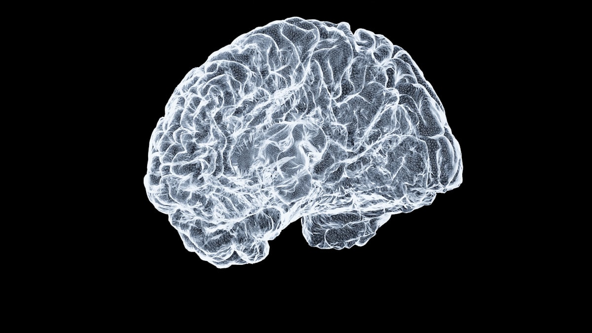 Artificial intelligence neural network brain visualization
